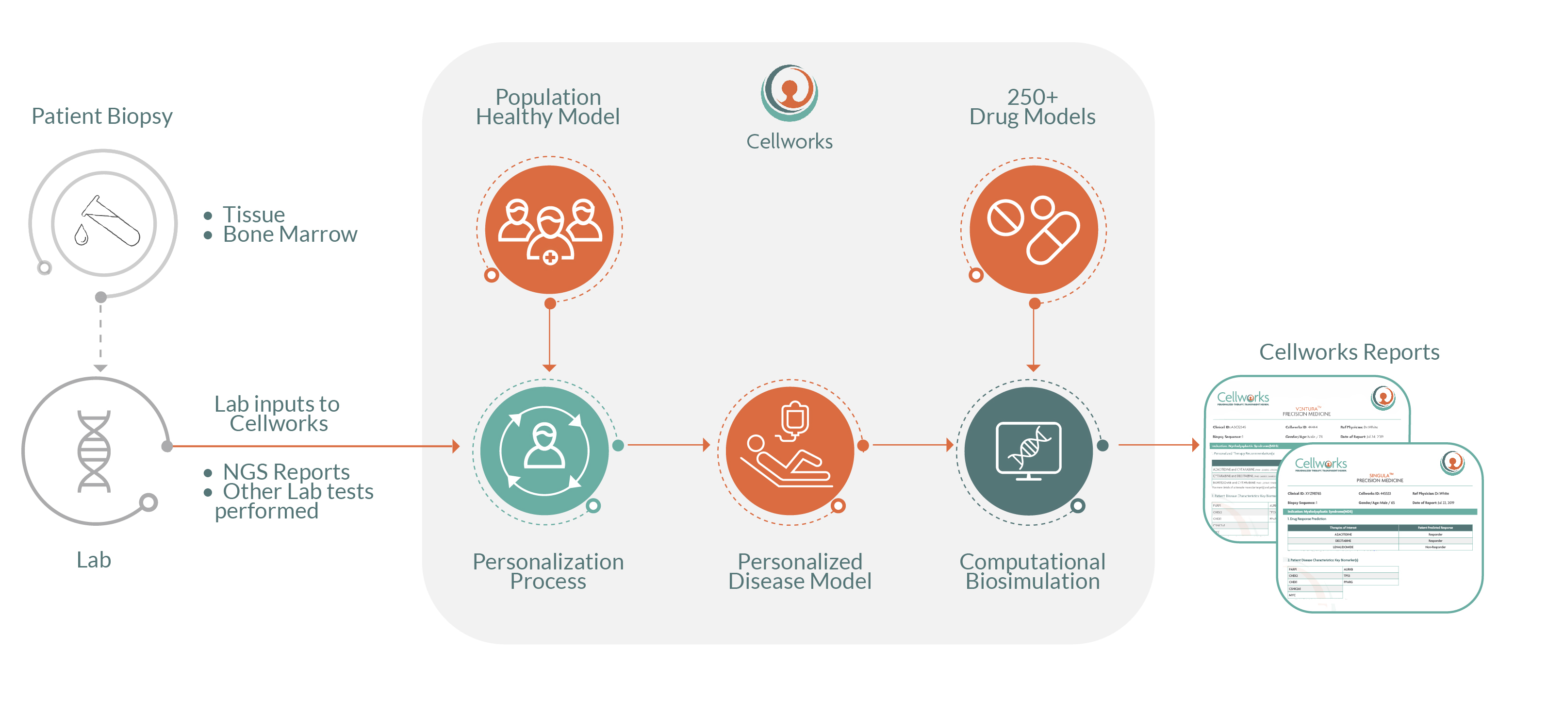 Precision Medicine Workflow
