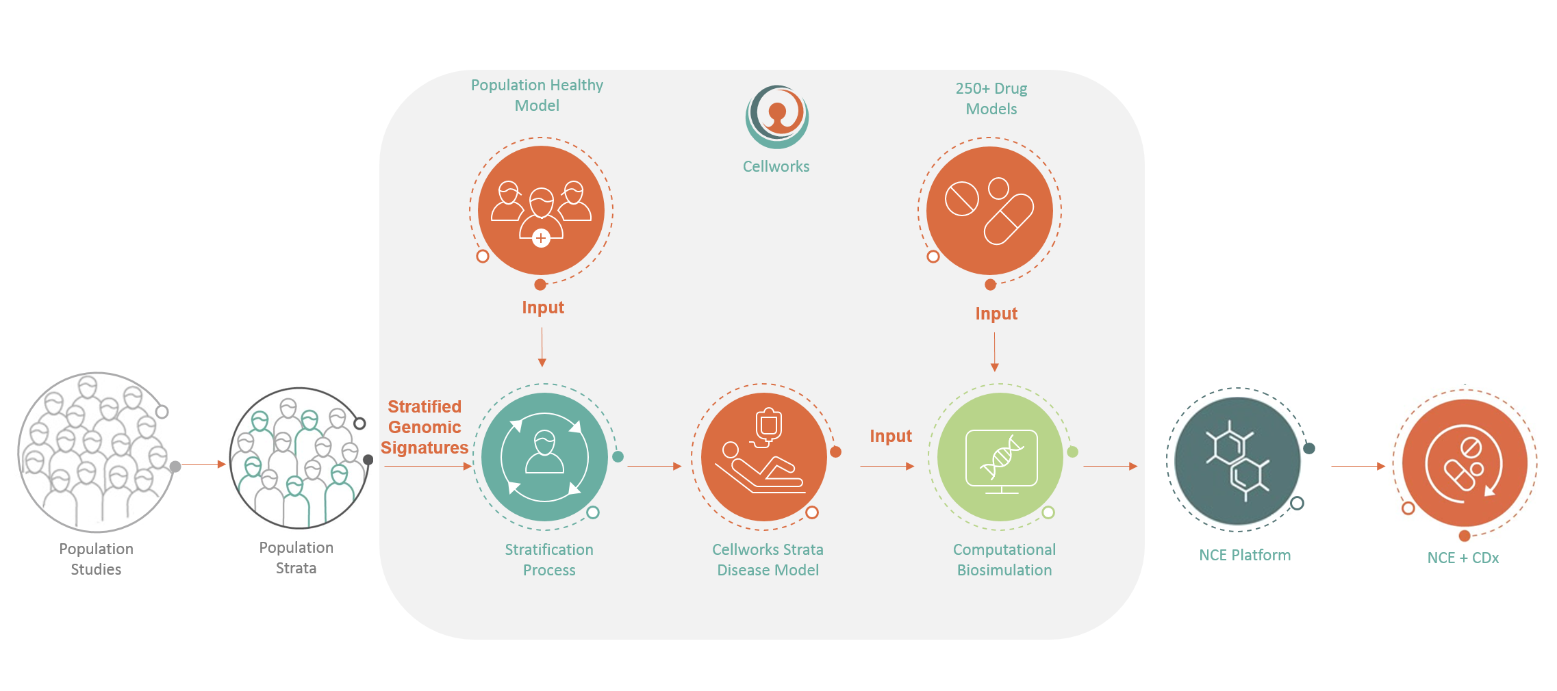 Cellwork Precision Medicine Workflow