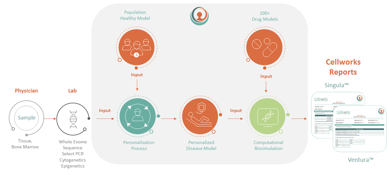 Precision Medicine Workflow