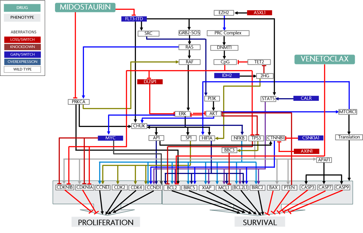 Biochemical Pathway Schematic