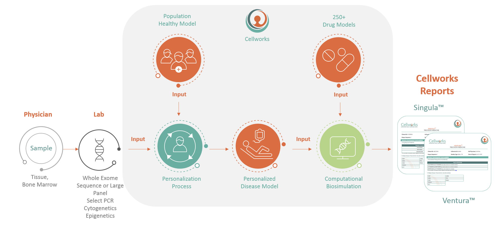 Precision Medicine Workflow