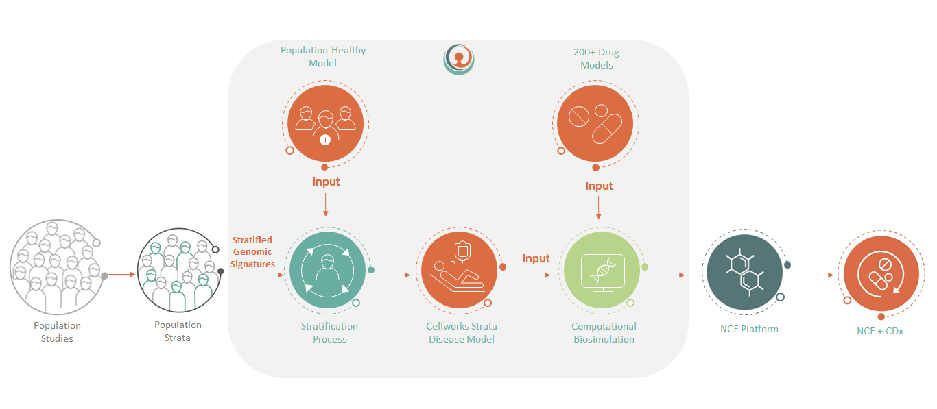 Cellwork Precision Medicine Workflow