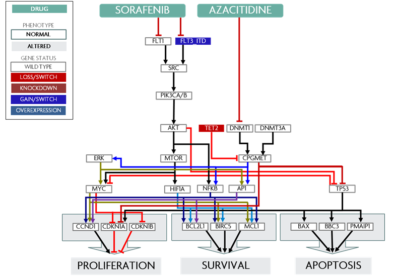 Biochemical Pathway Schematic