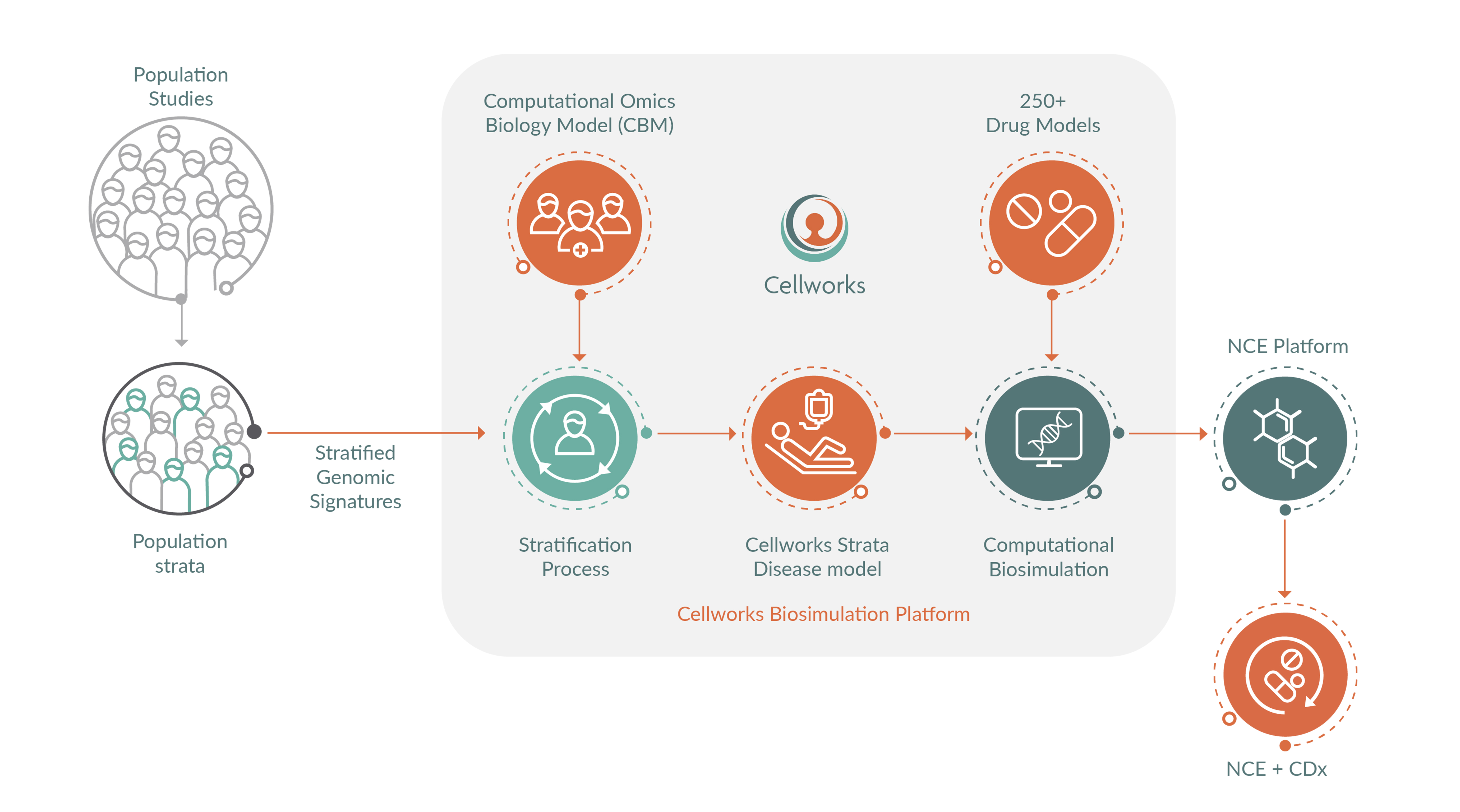 Personalized Medicine | Drug Discovery Platform | Cellworks Pipeline